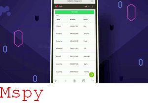 Mspy Instalacjq